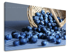 Zidna boja KUHINJA KU005E11