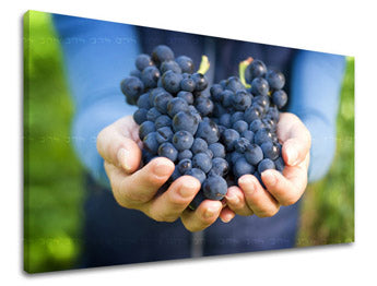 Zidna boja KUHINJA KU014E11