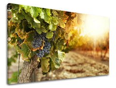 Zidna boja KUHINJA KU016E11