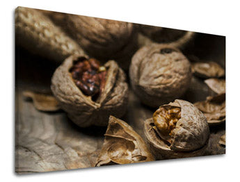 Zidna boja KUHINJA XOBKU020E11