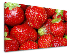 Zidna boja KUHINJA KU045E11