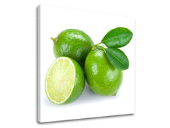 Zidna boja KUHINJA KU050E12