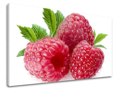 Zidna boja KUHINJA KU052E11