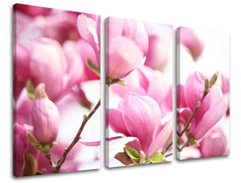 Zidna slika u 3 dijela CVIJEĆE KV002E30