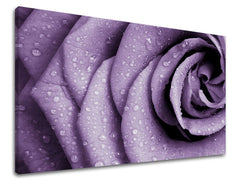 Zidna slika CVJETOVI RUŽA