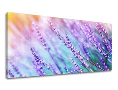 Zidna slika PANORAMA CVIJEĆE KV064E13