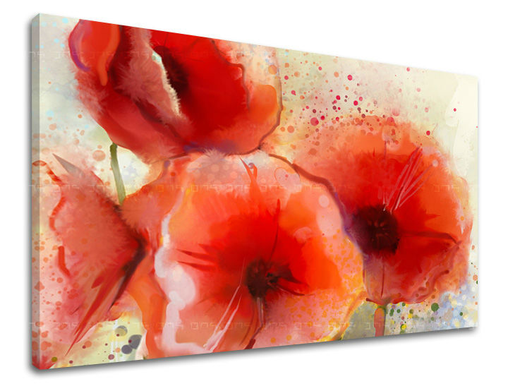 Zidna slika CVIJEĆE MAKY KV076E11