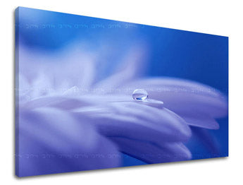 Zidna slika CVIJEĆE KV087E11