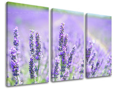 Zidna slika u 3 dijela CVIJEĆE KV092E30