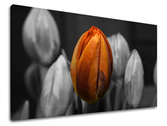 Zidna slika CVIJEĆE TULIPANI KV095E11