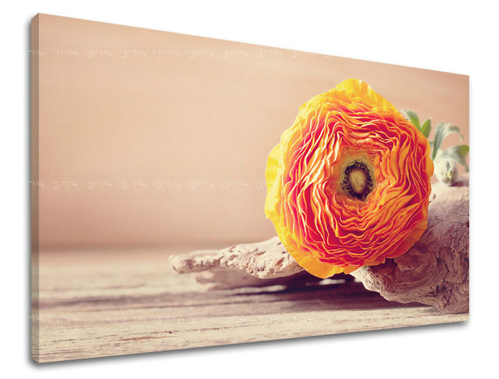 Zidna slika CVIJEĆE KV098E11