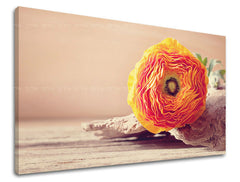 Zidna slika CVIJEĆE KV098E11