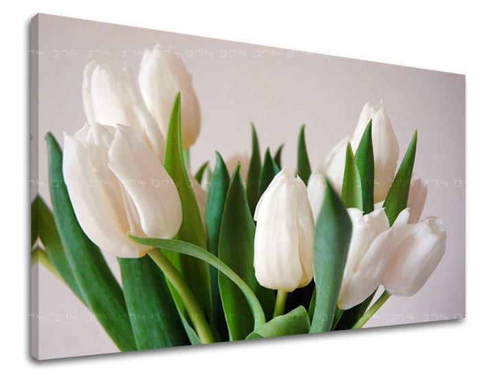 Zidna slika CVIJEĆE TULIPANI XOBKV108E11