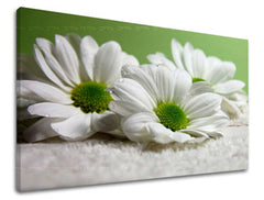 Zidna slika CVIJEĆE XOBKV111E11