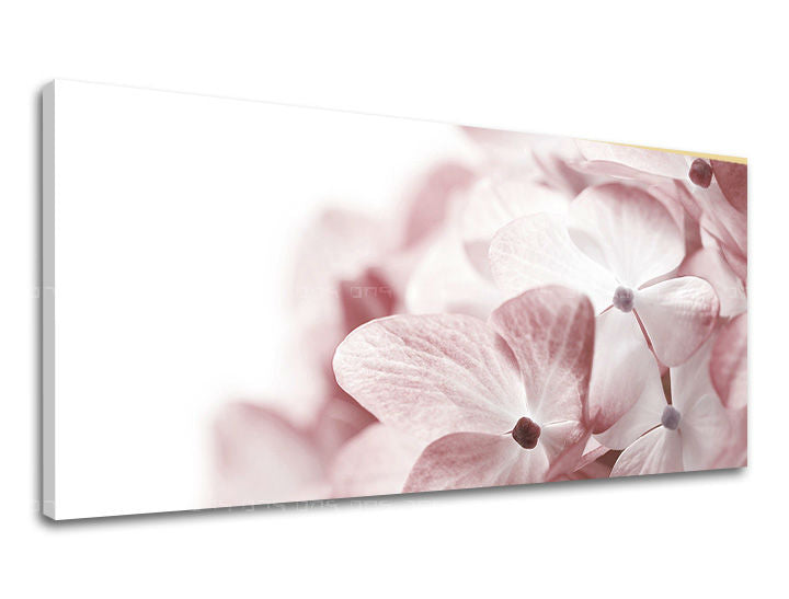 Zidna slika Panorama CVIJEĆE XOBKV114E13