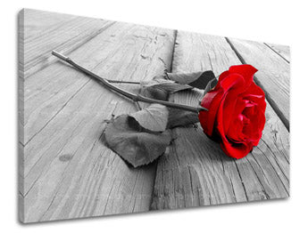 Zidna slika CVJETOVI RUŽA XOBKV115E11