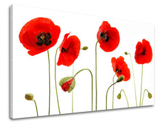 Zidna slika CVIJEĆE MAKY XOBKV117E11