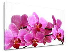 Zidna slika CVIJEĆE XOBKV133E11