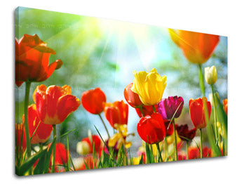 Zidna slika CVIJEĆE TULIPANI XOBKV145E11