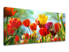 Zidna slika Panorama CVIJEĆE XOBKV145E13