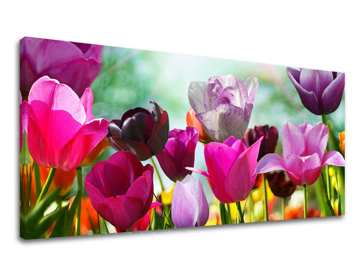 Zidna slika Panorama CVIJEĆE XOBKV148E13