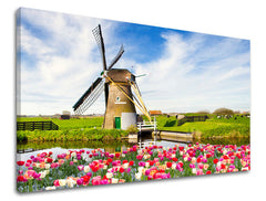 Zidna boja MESTO ME101E11