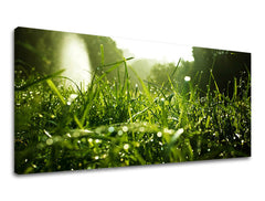 Zidna slika PANORAMA BILJKE RA001E13