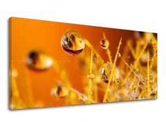 Zidna slika PANORAMA BILJKE RA002E13