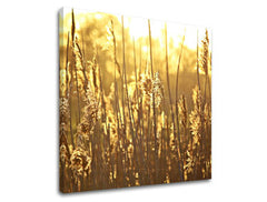 Zidna slika RASTLINY RA005E12