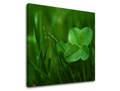 Zidna slika RASTLINY RA008E12