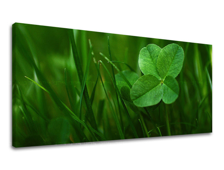 Zidna slika PANORAMA BILJKE RA008E13