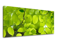 Zidna slika PANORAMA BILJKE RA016E13