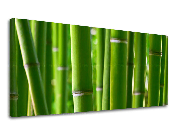 Zidna slika PANORAMA BILJKE RA017E13