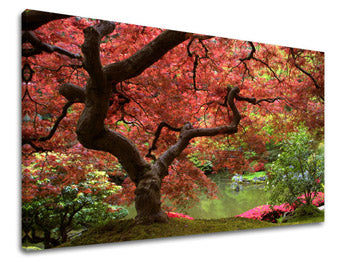 Zidna slika DRVEĆE ST001E11