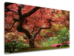 Zidna slika DRVEĆE ST001E11