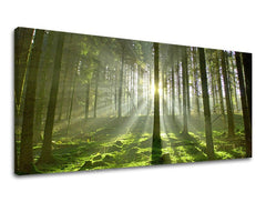 Zidna slika PANORAMA DRVEĆE
