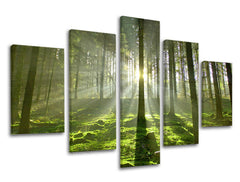 Zidna slika u 5 dijelova DRVEĆE ST021E50