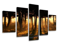 Zidna slika u 5 dijelova DRVEĆE ST025E50