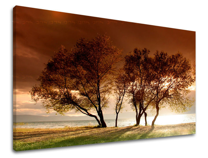 Zidna slika DRVEĆE ST026E11