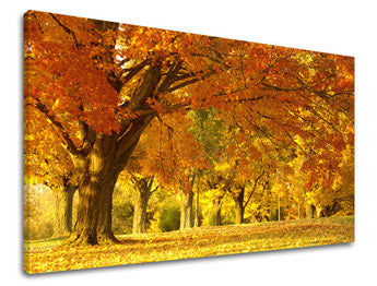 Zidna slika DRVEĆE ST027E11