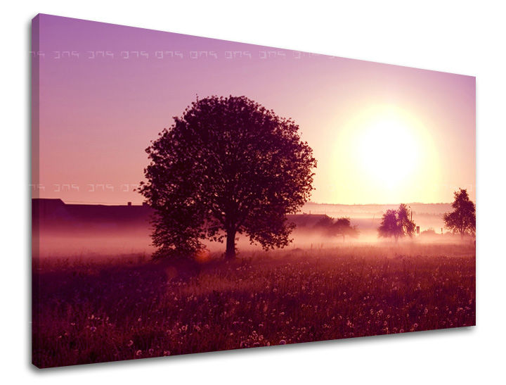 Zidna slika WEST WEST SLNKA ZS020E11