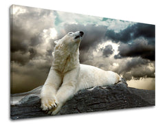 Zidna slika ŽIVOTINJE ZV001E11