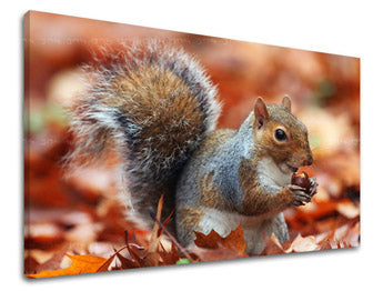 Zidna slika ŽIVOTINJE ZV002E11