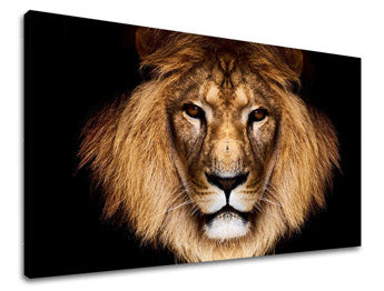 Zidna slika ŽIVOTINJE ZV009E11