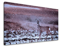 Zidna slika ŽIVOTINJE ZV015E11