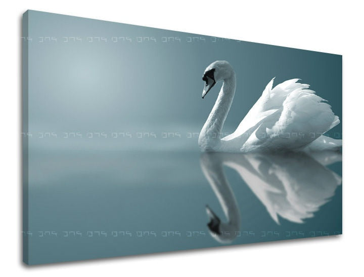 Zidna slika ŽIVOTINJE - slika 2