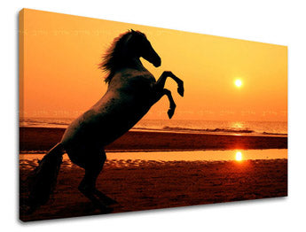 Zidna slika ŽIVOTINJE ZV026E11