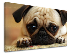 Zidna slika ŽIVOTINJE ZV043E11