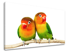 Zidna slika ŽIVOTINJE ZV045E11