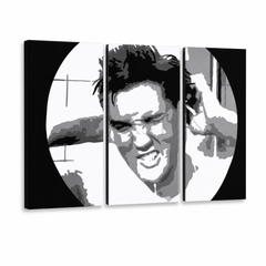 Ručno oslikana slika na platnu s motivom elvis presley u crno-bijeloj tehnici – 3D prikaz platna s vidljivim drvenim okvirom, Papilora.